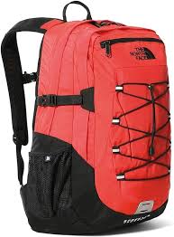 Mochila Clásica Borealis de The North Face (29 L)